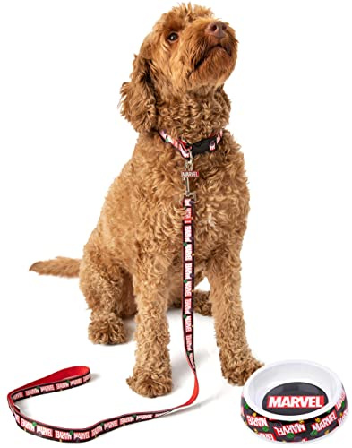Marvel Pets Gift Set for Dogs and Cats, Superhero Collar and Lead, Food and Water Bowl Included