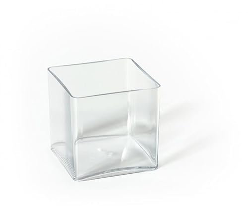 Fleurs et Délices - Vase Cube en Plastique Transparent 12x12cm - Lot de 2 Vases pour Fleurs, Bougies et Plantes Succulentes - Centre de Table Mariage Décoration Intérieure