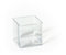 Fleurs et Délices - Vase Cube en Plastique Transparent - 12x12cm - Lot de 2 Vases pour Fleurs, Bougies et Plantes Succulentes - Décoration Intérieure - Fabrication Française Artisanale