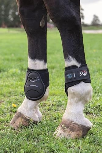 HKM Cooling Style Fetlock boots Black S