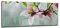 Canvasfly 100x40 Wandpaneele für Küche Deko-Spritzschutz für Küchenrückwand Glas Bilder Gehärtet Küchen-Deko Glasplatte aus Vorgespanntem Glas Küchenrückwandplatte Blume