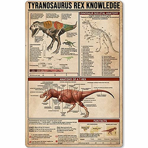 30 x 20 cm Metallschild Tyrannosaurus Rex Knowledge Anatomy of A T-Rex Tier Infografik Poster Plakette für Bauernhof, Zuhause, Küche, Bar, Club, Wanddekorationen