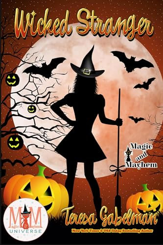 Wicked Stranger: Magic and Mayhem Universe (Wicked Series Book 10) (English Edition)