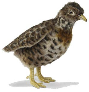 Hansa 7477 Plains Wanderer Plush Soft Toy