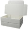 Maxibrief Kartons aus Graskarton MB3 / 240 x 160 x 50 mm DIN A5 Kartonage Schachtel aus 30% Grasanteil 70% Recycling von dimapax (100)
