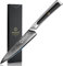 Sunnecko Utility Knife 5 inch - Sharp Paring Knife with Damascus Steel VG10 Blade, Fruit Knife with Ergonomic Full Tang Handle Small Kitchen Knives