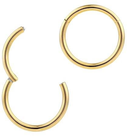 365 SLEEPERS 2 Stck Nasenring Hoop Titan Knorpelohrring Septum Clicker Ring 1,2mm Edelstahl Klappbarer Segmentring Lippenring Conch Daith Helix Rook Tragus Lobe Snug Ear Body Piercing Schmuck