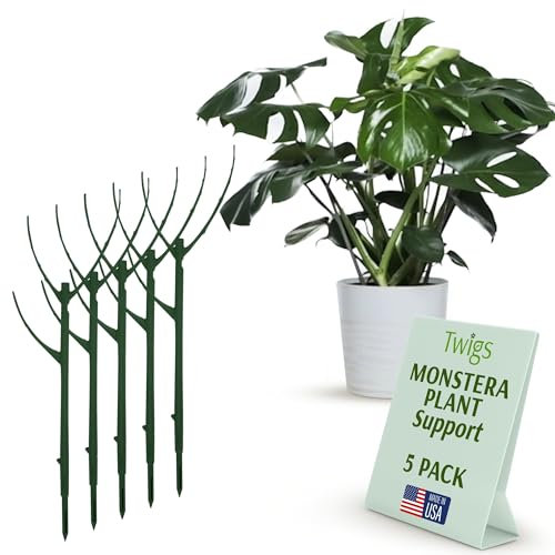 Twigs GA - Monstera Show & Grow Pack (5 ramitas). Gran Alternativa para Poste de Musgo para Plantas Monstera. Se Mezcla con la Planta, sin ataduras ni Cables, no se pudre ni se oxida. Apilable de 17