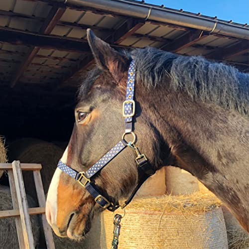 Halfter für Pferde Pferdehalfter stylisches Halfter blau, 2-Fach verstellbare Dornschnallen, Shetty, Pony, Cob, Warmblut (Warmblut (Full), Blaue Dreiecke)