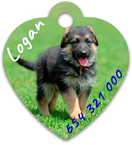 Chapa Perro Gato Personalizada con Foto y Texto Placa Identificativa Mascota Impresa (Corazón)