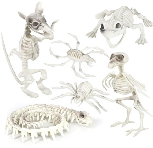 I LOVE FANCY DRESS Halloween Skelett Tiere - 6 Stück Skelett Vogel, Ratte, Frosch, Schlange, Spinne und Krabbe Set - Skelett Requisiten Gruselige Halloween Horror Party Dekor Trick or Treat