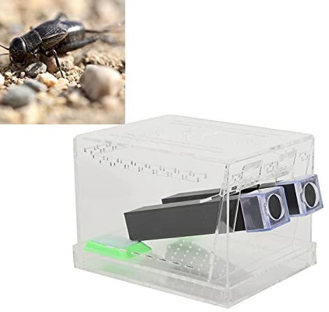 Oreilet Cricket Keeper, Acryl Insektenbecken mit Futter und Wasser Futterwanne, Grillen Pflegeset, Insect Kakerlaken Pflege Reptil Tank Box, für Heimbüro Cricket Fütterung(L)