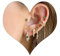 Piercing Ohrringe Set für Mehrere Ohrlöcher - Helix, Conch, Tragus Piercings für Damen - 14K Vergoldet - Ohrstecker Set - Klein, Creolen - Gold