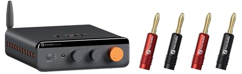 Fosi Audio BT20A MAX Verstärker HiFi Stereo und 4 PCS Bananenstecker im Bundle