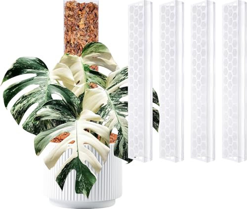 Haispring Lot de 6 piquets en plastique en forme de D pour plantes grimpantes - Support empilable en plastique de 43 cm, conçu pour Monstera et plantes d'intérieur avec une stabilité améliorée