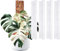 Haispring Lot de 6 piquets en plastique en forme de D pour plantes grimpantes - Support empilable en plastique de 43 cm, conçu pour Monstera et plantes d'intérieur avec une stabilité améliorée