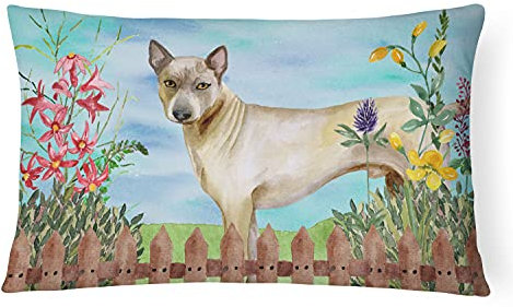 Caroline's Treasures CK1242PW1216 Thai Ridgeback Spring Segeltuchstoff, dekoratives Kissen, maschinenwaschbar, für drinnen und draußen, dekoratives Kissen für Couch, Bett oder Terrasse, 12HX16W
