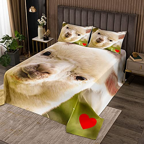 Loussiesd Lama Alpaka Tagesdeck 220x240cm Niedliches Lama Bettüberwurf Karikatur Alpaka Steppdecke Erwachsene Südamerikanische Tiere Drucken Wohndecke Ultra weich Zimmer Dekor