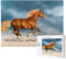 Rotes rennendes Pferd, Puzzle 500 Teile, Holzpuzzle, Spielzeug, Familienspiel, Wanddekoration für Erwachsene und Teenager