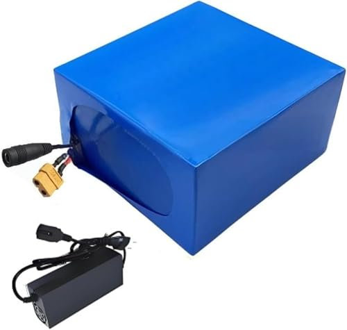 Batterie Lithium-ION 72V 20ah 20s7p pour Vélo Électrique Protection BMS Intégrée Idéale pour Moteur 200-1000W Avec 84V 2A Chargeur XT60