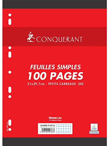CONQUÉRANT Feuilles Simples 100 Pages A4 80g Petits Carreaux