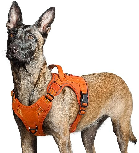 rabbitgoo Hundegeschirr Grosse Hunde, Anti Zug Geschirr Hund Verstellbar mit Griffe Verbreitert, Robust und Verschleißfest, Taktisches Hundegeschirr mit Metallschnallen zum Wandern(L, Orange)