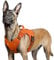 rabbitgoo Hundegeschirr Grosse Hunde, Anti Zug Geschirr Hund Verstellbar mit Griffe Verbreitert, Robust und Verschleißfest, Taktisches Hundegeschirr mit Metallschnallen zum Wandern(L, Orange)