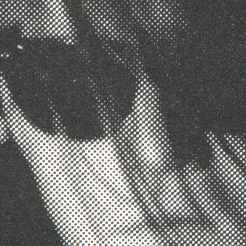 Dfa Records