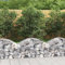 KLYEON Cesto Gabbione ad Arco 100x50x40/60 cm Ferro Zincato,Recinzione per Giardino in gabbioni: Protezione Antivento e barriera fonoassorbente Vasi e fioriere