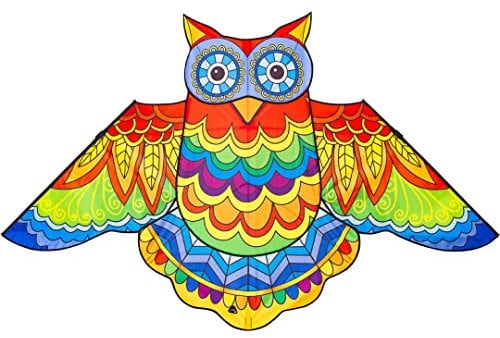 HQ Design - Flying Creatures, Kinderdrachen Flugdrachen Einleiner Drachen zum steigen Lassen, wenig Wind ab 5 Jahren, Polyesterschnur auf Spule oder Griff (Jazzy Owl Kite)