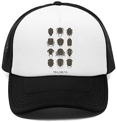 Vendax Trilobita Kappe Baseball Rapper Cap