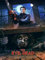 The Evil Dead Poster 30 x 40 cm