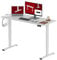 SANODESK Höhenverstellbarer Schreibtisch 120 x 60 cm Schreibtisch Höhenverstellbar Elektrisch Ergonomischer Steh-Sitz Tisch Computertisch für Heimbüro Homeoffice(weiß)