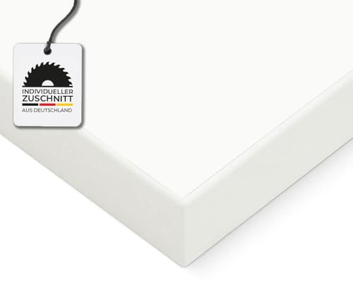 HausFux Spanplatte nach Maß - 2,5 cm stark, melaminbeschichtet, mit ABS-Kante - Made in Germany - für Möbel- und Innenausbau (Nordic Weiß, 40 x 30 cm)