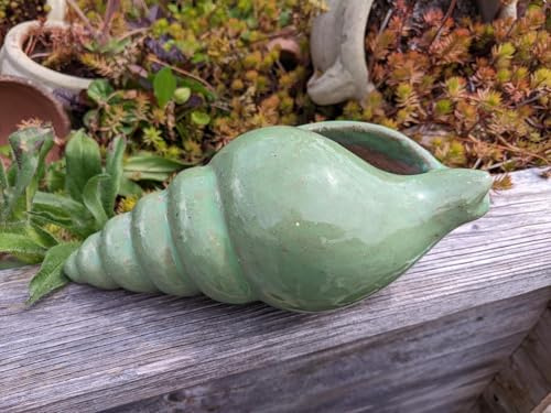 Generisch Winterfeste Schnecke/Muschel ca. 23 cm lang aus grün glasierten Steingut Garten Deko Teich See Meesrestier Aquarium