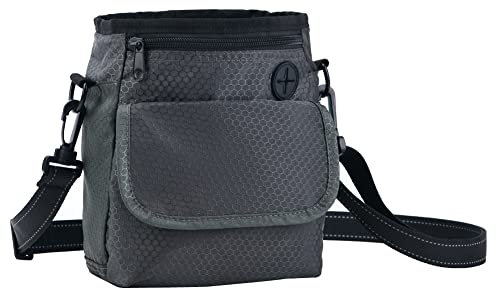 HANWELL Futterbeutel für Hunde Leckerlies, Hundeleckerlitasche mit Poop Spender-Verstellbarer Taillen/Schulterriemen, Mehrfachtaschen für Tragende Hunde Kibble und Spielzeug (Grey, Fußballmuster)