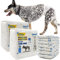 BPS 16 Stück Windel für Hunde Sanitär Einweg Haustiere Männlich Training Super Absorbierende Hygienische Höschen 4 Größen (L) BPS-2206 * 2