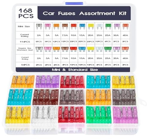 AiQInu 12v Fusibles Coche Kit 168Pcs, 114 Mini Fusibles Coche+ 54 Fusibles Coche Mediano+1 Clip para Fusibles, Automóvil Fusible para 2A/3A/5A/7.5A/10A/15A/20A/25A/30A/35A/40A