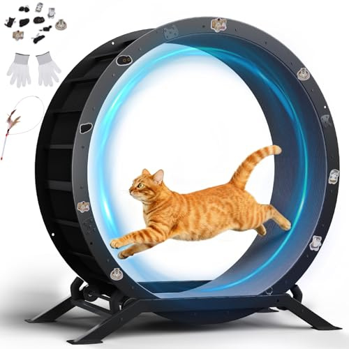 GTPLAYER - Rueda para gato, rueda de ejercicio para gatos, XL- 100 cm, ultra silenciosa con alfombra extraíble, pegatinas, sistema de bloqueo, metal, negro, regalos para tus gatos