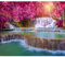 decomonkey - Papier Peint Panoramique Cascade Chute d'eau 350x256 cm - Décoration murale – Tapisserie décorative pour chambre salon - Arbres pierre coloré forêt nature paysage rivière eau cascade