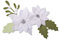 Sizzix 663371 Christmas Foliage by Lisa Jones Stanzschablonen, Papier Aluminium, Weihnachtsstern Laub, Einheitsgröße