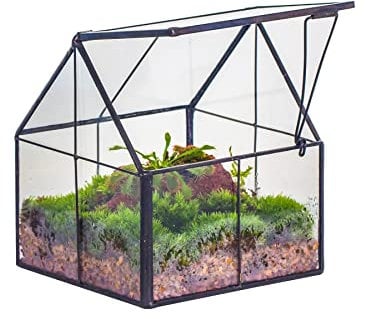 NCYP 10,8x10,8x12,5 cm Mini Terrario Geométrico de Plantas de Vidrio con Tapa, jJardinera Negra para suculentas, Decoración de Mesa de Oficina Hecha a Mano para el Jardín del Hogar (Solo Terrario)