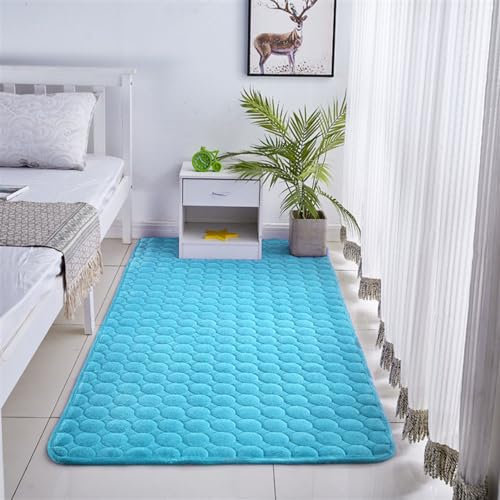 BESTORI Teppich Wohnzimmer Kurzflor rutschfest Teppich Flauschig Weich Waschbar Teppich Modern Einfarbiges Muster Hellblau, 40 x 60 cm
