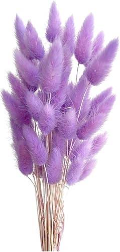 Pampasgras Trockenblumen 50 Stück Elegantes Pampasgras Deko Natürlich Blumenstrauß Flauschiges Getrocknete Blumen Herbst Boho Deko für Hochzeit Büro Schlafzimmer Wohnzimme (Violett)