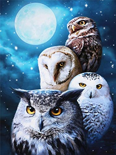 Nicole Knupfer DIY 5d Diamant Malerei Painting Diamond Eule Stickerei Rhinestone Pasted Gemälde Kreuzstich DIY Cross Stitch Wohnkultur Dekoration (8,30x40cm)