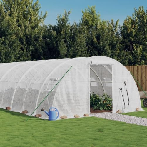 Festnight Serra da Giardino, Serra per Orto, Serra Tunnel, Serra con Telaio in Acciaio Bianco 96 m² 24x4x2 m