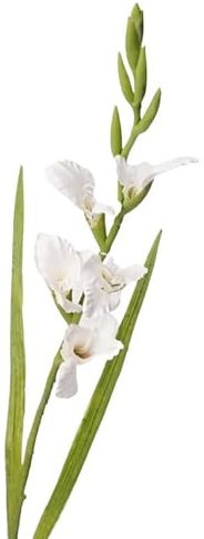 HUFFA Künstliche Blume, einzelner Zweig, Gladiole, Tischdekoration, Kunstblume, Heimdekoration, Florale Hochzeit, Landschaftsbau (Color : Weiß)