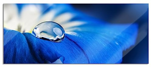 Pixxprint Glasbild Panorama, Wandbild aus Echtglas, Wassertropfen auf blauer Blüte, 120x50 cm, inkl. Aufhängung und Abstandshalter