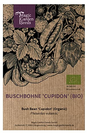Haricot nain 'Cupidon' (Phaseolus vulgaris) Bio - env. 30 graines