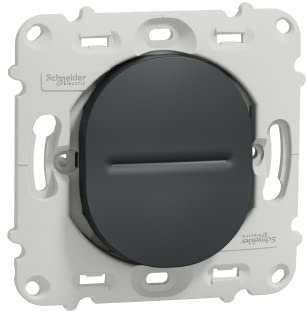 Schneider Electric - Interrupteur Ovalis - 10A - Bouton-poussoir Mécanique - Gris - Manuel